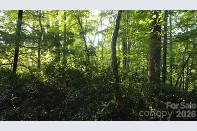 0000 Havens Creek Road #4, Black Mountain, NC 28711 - Photo 4