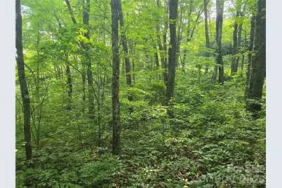 000 Greenspire Drive, Sylva, NC 28779 - Photo 6