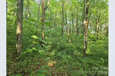 000 Greenspire Drive, Sylva, NC 28779 - Photo 10