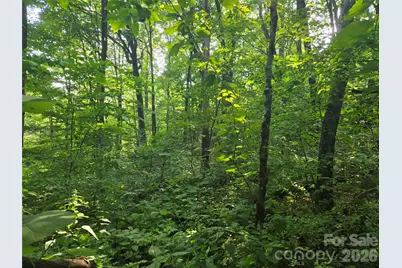 000 Greenspire Drive, Sylva, NC 28779 - Photo 8