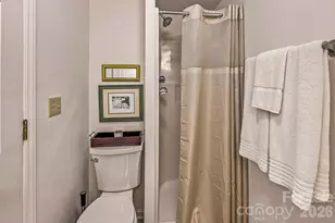 193 Downing Pl, Lake Lure, NC 28746 - Photo 28