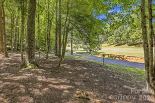 193 Downing Pl, Lake Lure, NC 28746 - Photo 34
