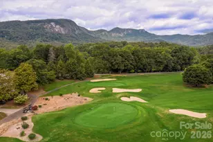 193 Downing Pl, Lake Lure, NC 28746 - Photo 46