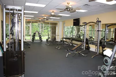 7410 Carolina Jessamine Court, Fort Mill, SC 29707 - Photo 38
