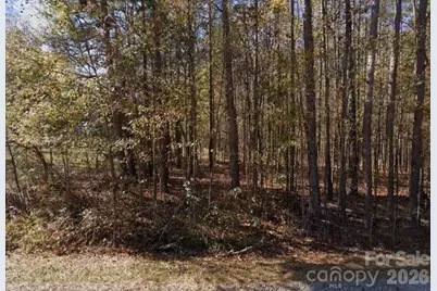 2804 Forest Lawn Drive, Weddington, NC 28104 - Photo 1