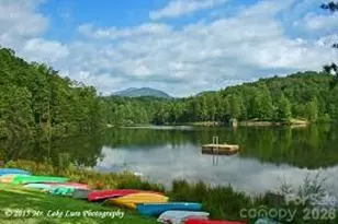 450 Starling Rd, Lake Lure, NC 28746 - Photo 38