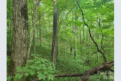 000 Rosemount Road, Sylva, NC 28779 - Photo 10