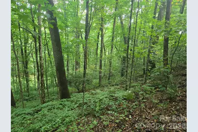 000 Rosemount Road, Sylva, NC 28779 - Photo 1