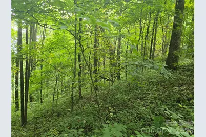 000 Rosemount Road, Sylva, NC 28779 - Photo 2