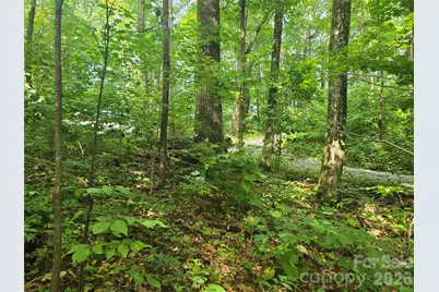 000 Rosemount Road, Sylva, NC 28779 - Photo 12