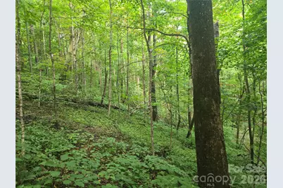 000 Rosemount Road, Sylva, NC 28779 - Photo 8