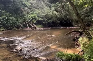1 Old Mill Ln, Weaverville, NC 28787 - Photo 24
