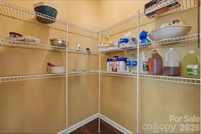 8810 Gray Willow Road, Charlotte, NC 28227 - Photo 20