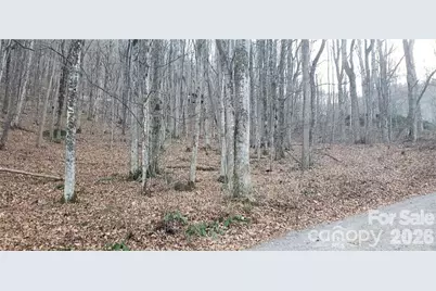 36 Miner Road, Waynesville, NC 28785 - Photo 1