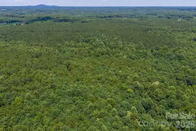 000 E Highway 27 None, Iron Station, NC 28080 - Photo 8