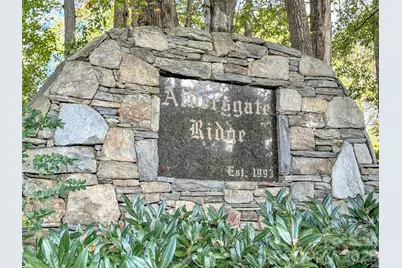 132 Aldersgate Road, Waynesville, NC 28786 - Photo 38