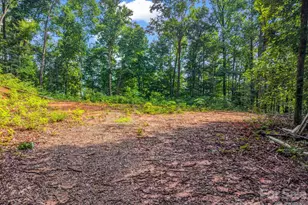 00 Patton Cove Rd, Swannanoa, NC 28778 - Photo 1