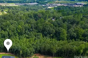 98 Lexxi Ln, Tryon, NC 28782 - Photo 10