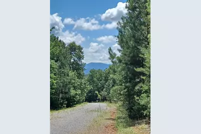 88 Lowden Drive #88, Nebo, NC 28761 - Photo 12