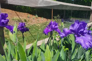 3938 Village Blvd NW, Conover, NC 28613 - Photo 32