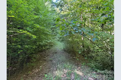 Tbd Casey Mountain Road #222, Purlear, NC 28665 - Photo 4