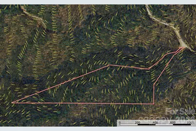 Tbd Casey Mountain Road #222, Purlear, NC 28665 - Photo 8
