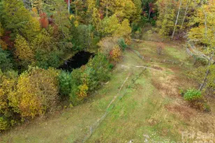 540 Duncan Creek Rd, Fletcher, NC 28732 - Photo 44