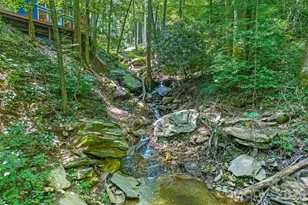 48 Gold Finch Ln, Maggie Valley, NC 28751 - Photo 32