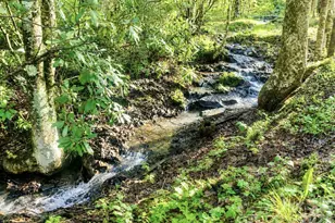 1361 Longhope Rd, Todd, NC 28684 - Photo 32