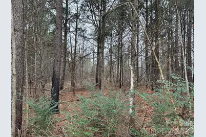 1440-2 Carl Taylor Road, Peachland, NC 28133 - Photo 20