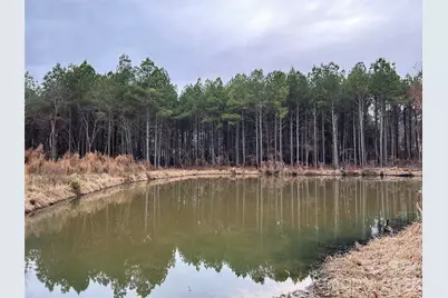 1440-2 Carl Taylor Road, Peachland, NC 28133 - Photo 4