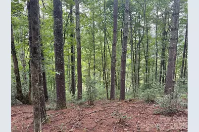 Lot 126 & Lot 127A Sunset Creek Lane #126 & 127A, Lenoir, NC 28645 - Photo 8