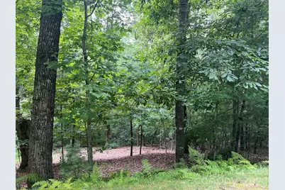 211 Tom Fazio Trace, Hendersonville, NC 28739 - Photo 2