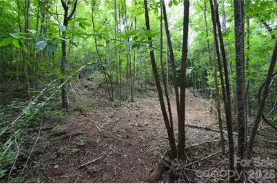 607 Anthony Grove Road, Crouse, NC 28033 - Photo 34