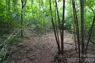 607 Anthony Grove Rd, Crouse, NC 28033 - Photo 34