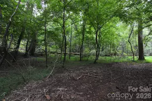 607 Anthony Grove Rd, Crouse, NC 28033 - Photo 40