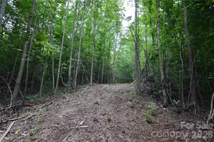 607 Anthony Grove Rd, Crouse, NC 28033 - Photo 36