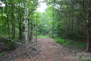 607 Anthony Grove Rd, Crouse, NC 28033 - Photo 32