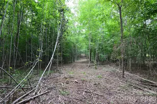607 Anthony Grove Rd, Crouse, NC 28033 - Photo 42