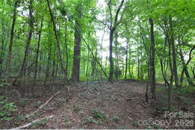 607 Anthony Grove Road, Crouse, NC 28033 - Photo 38