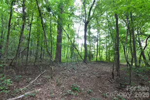 607 Anthony Grove Rd, Crouse, NC 28033 - Photo 38