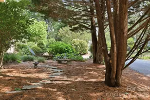 1925 Laurel Park Hwy, Hendersonville, NC 28739 - Photo 6