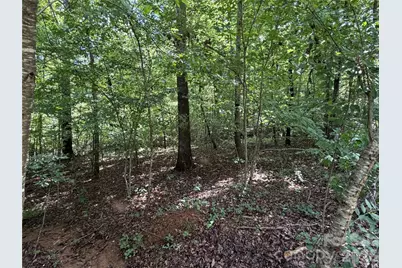 0 Beechtree Circle, Rutherfordton, NC 28139 - Photo 12
