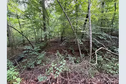 0 Beechtree Circle, Rutherfordton, NC 28139 - Photo 10