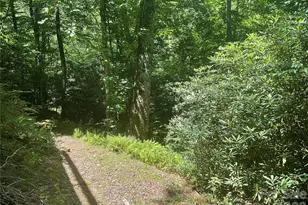 903 Winterstar Loop, Burnsville, NC 28714 - Photo 28