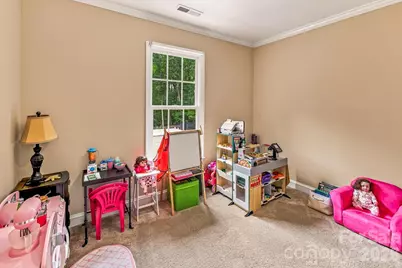 163 Sherry Street, Rutherfordton, NC 28139 - Photo 22