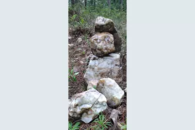 0 Nc 109 Highway S, Mount Gilead, NC 27306 - Photo 22
