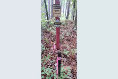 0 Nc 109 Highway S, Mount Gilead, NC 27306 - Photo 38