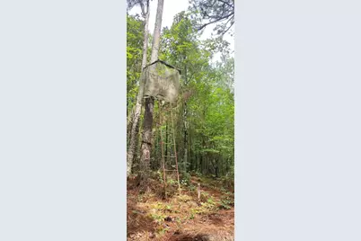 0 Nc 109 Highway S, Mount Gilead, NC 27306 - Photo 28