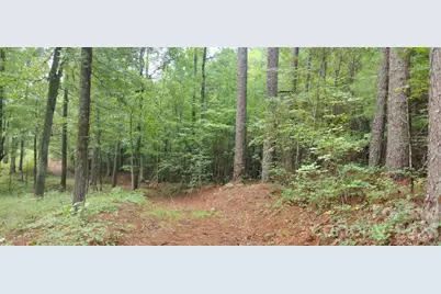 0 Nc 109 Highway S, Mount Gilead, NC 27306 - Photo 34